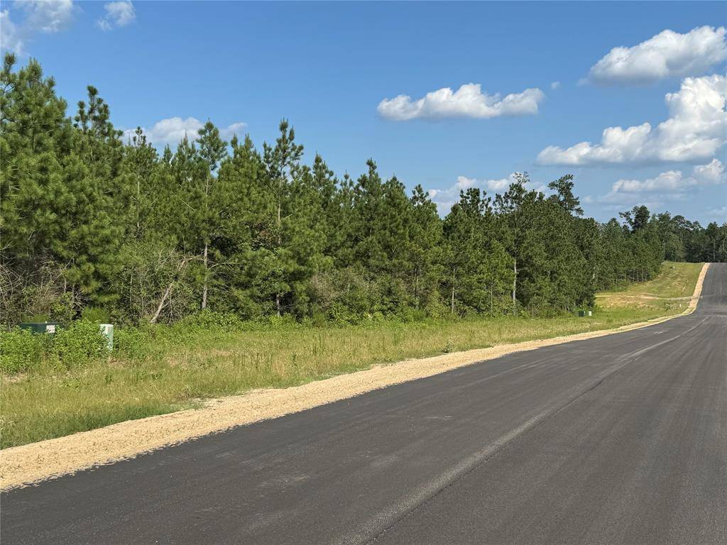 Willis, TX 77358,12019 High Branch WAY