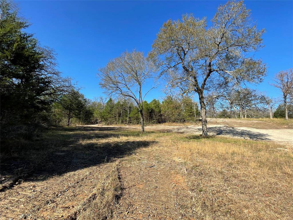 Fairfield, TX 75840,TBD Tract 4 FM 3285