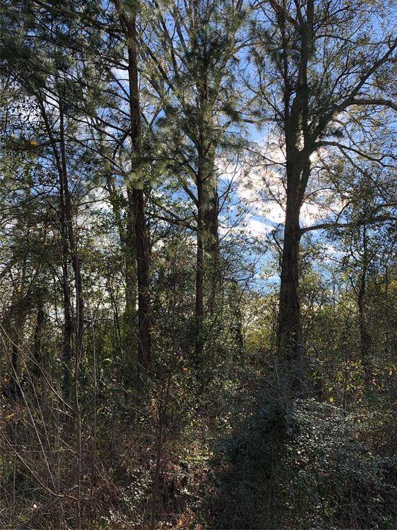 Coldspring, TX 77331,Lot195 River ST