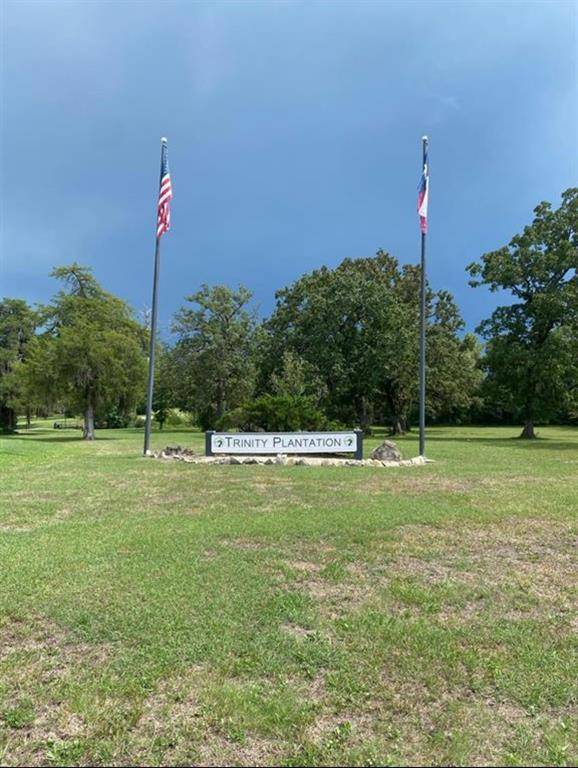 Trinity, TX 75862,Lot 33 Peach Point LN