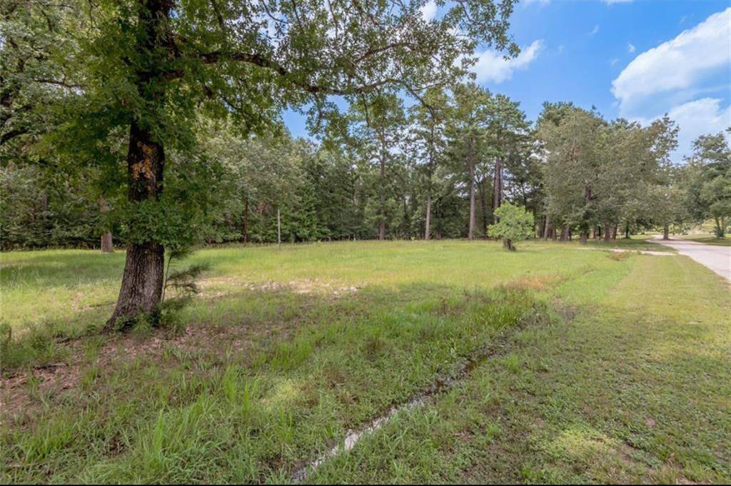 Trinity, TX 75862,Lot 33 Peach Point LN