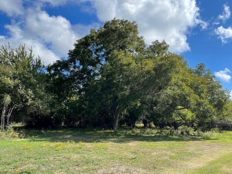 Chappell Hill, TX 77426,10651 FM-1371 LOT 41