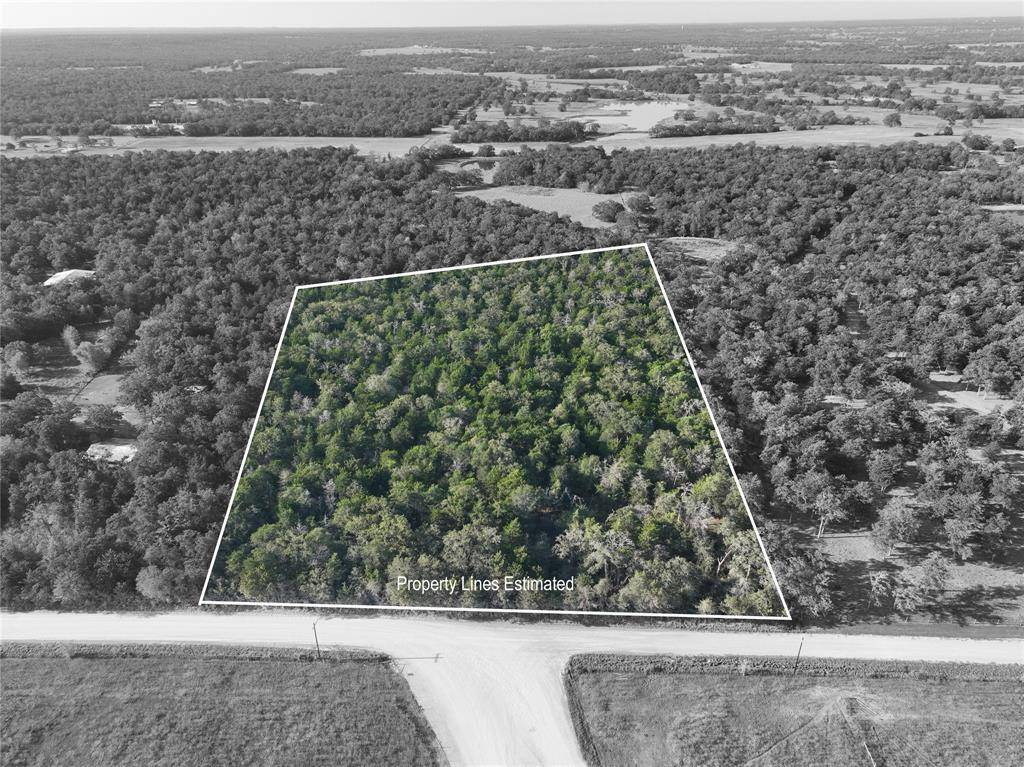 Carmine, TX 78932,TBD Bascome LN