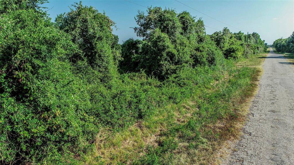 Snook, TX 77878,TBD (9.34 Acres) County Road 439