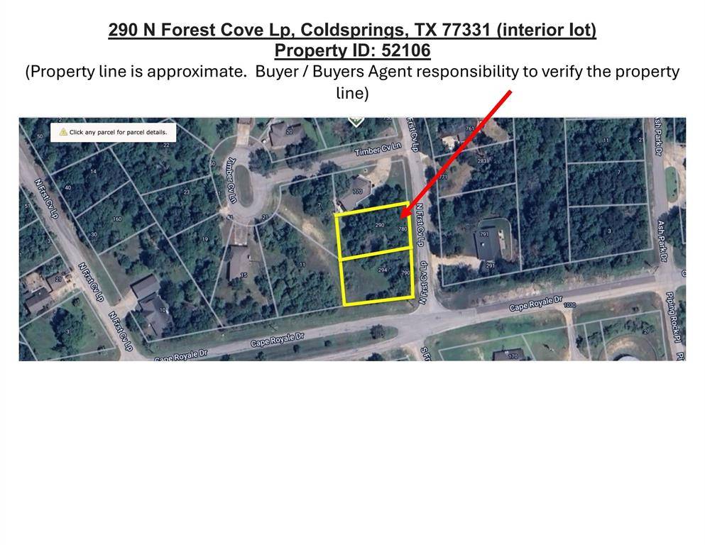 Coldspring, TX 77331,290 N Forest Cove LOOP