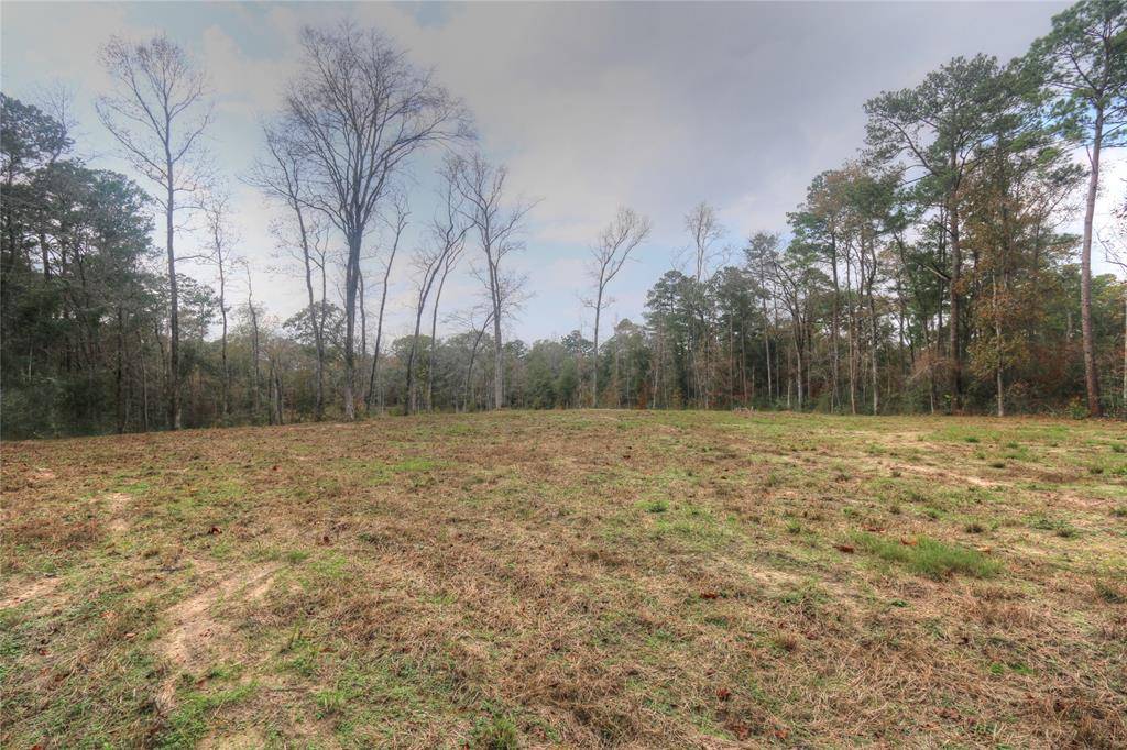 Magnolia, TX 77354,11 Riata