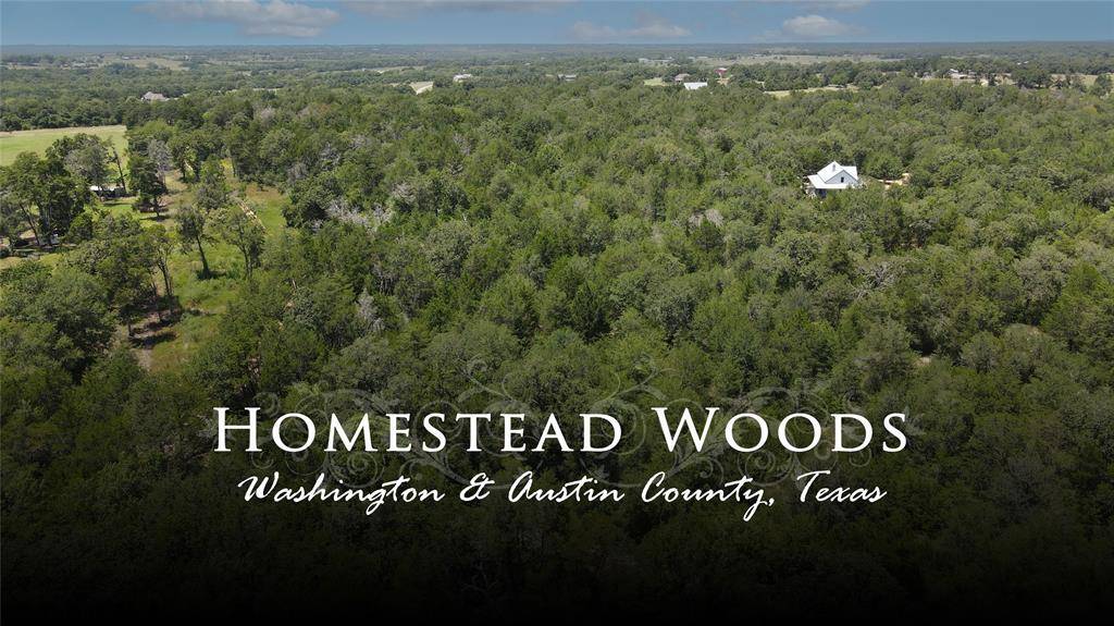 Burton, TX 77835,TBD Homestead LN