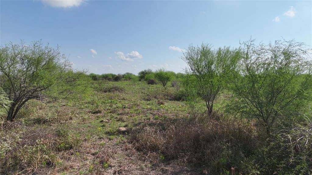 Cat Spring, TX 78933,1929 FM 2761