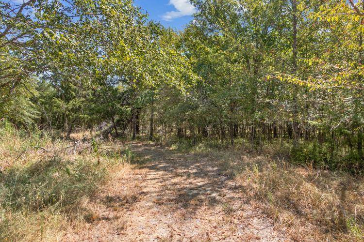 Thornton, TX 76687,00 Hickory LOOP