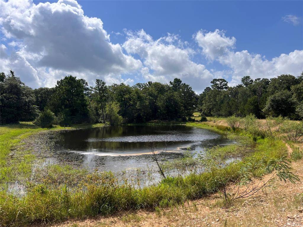 Columbus, TX 78934,TBD Big Pasture RD