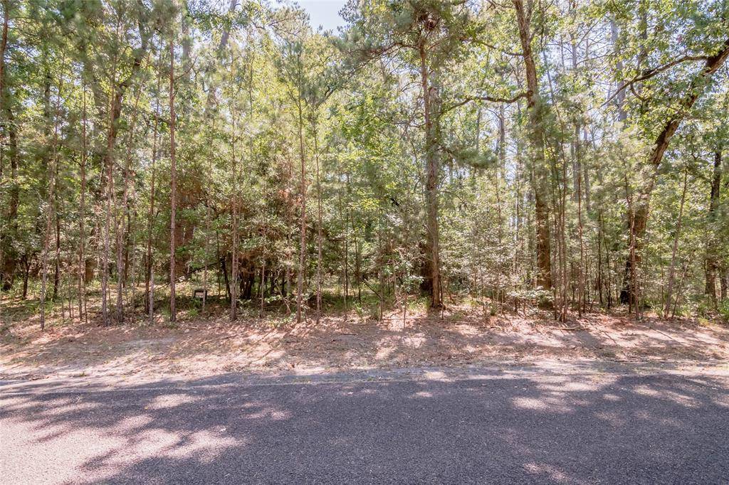 Huntsville, TX 77320,Lot 29 Muirfield