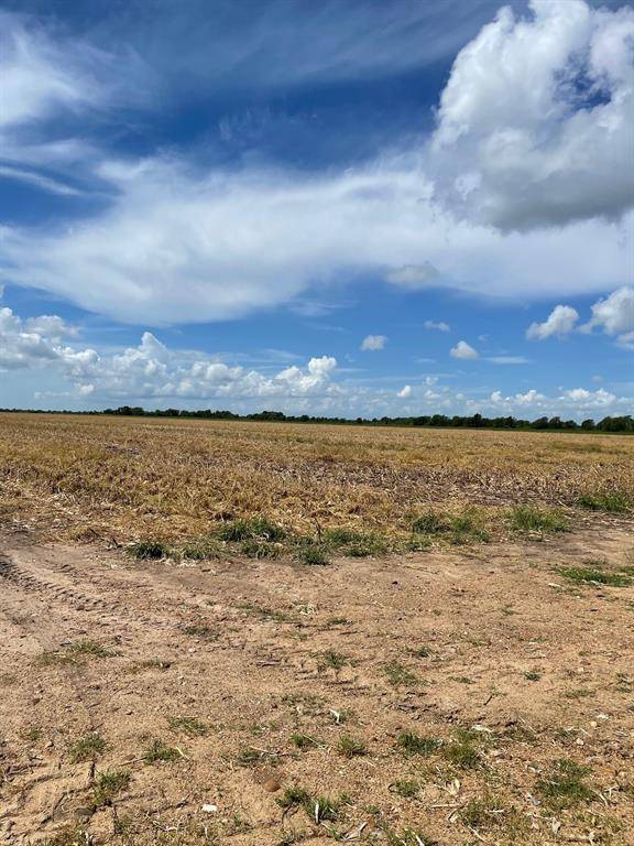 El Campo, TX 77437,TBD Lot 4 County Road 414