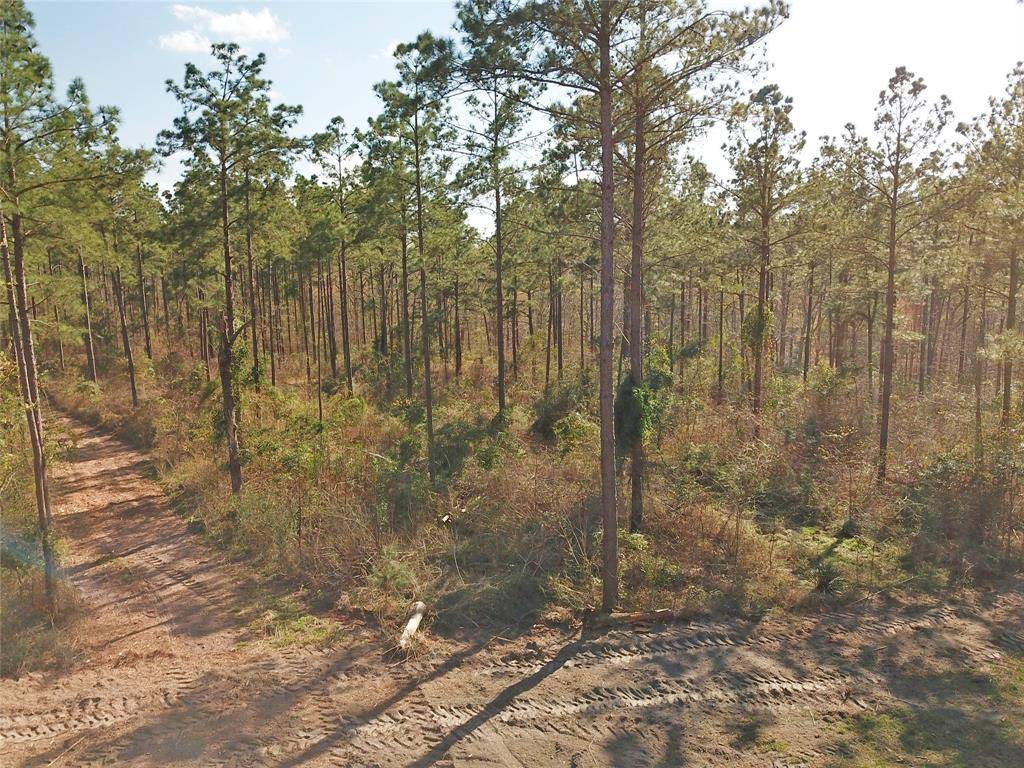 Garrison, TX 75946,TBD Tract B FM 1087