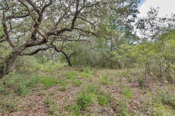 Edna, TX 77957,Tract 12 PR 4061