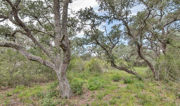 Edna, TX 77957,Tract 12 PR 4061