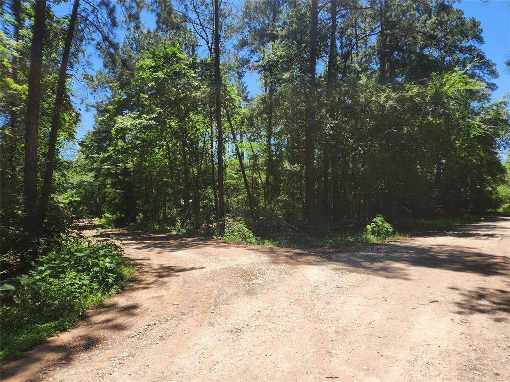 Plantersville, TX 77363,Lot 1 Pineknoll DR