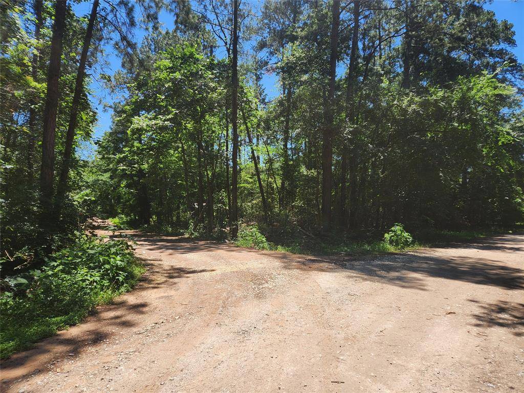 Plantersville, TX 77363,Lot 1 Pineknoll DR