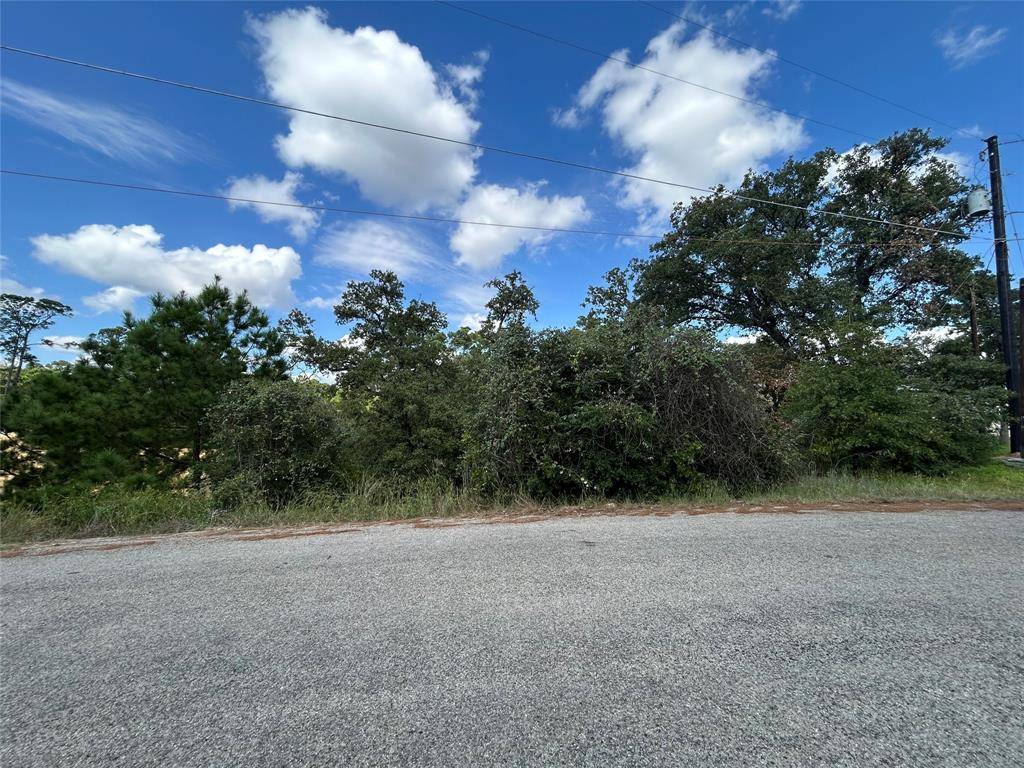 Bastrop, TX 78602,TBD Pahoiki Lane