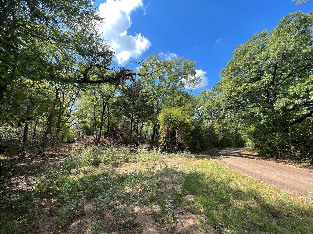 Buffalo, TX 75831,30AC CR 770