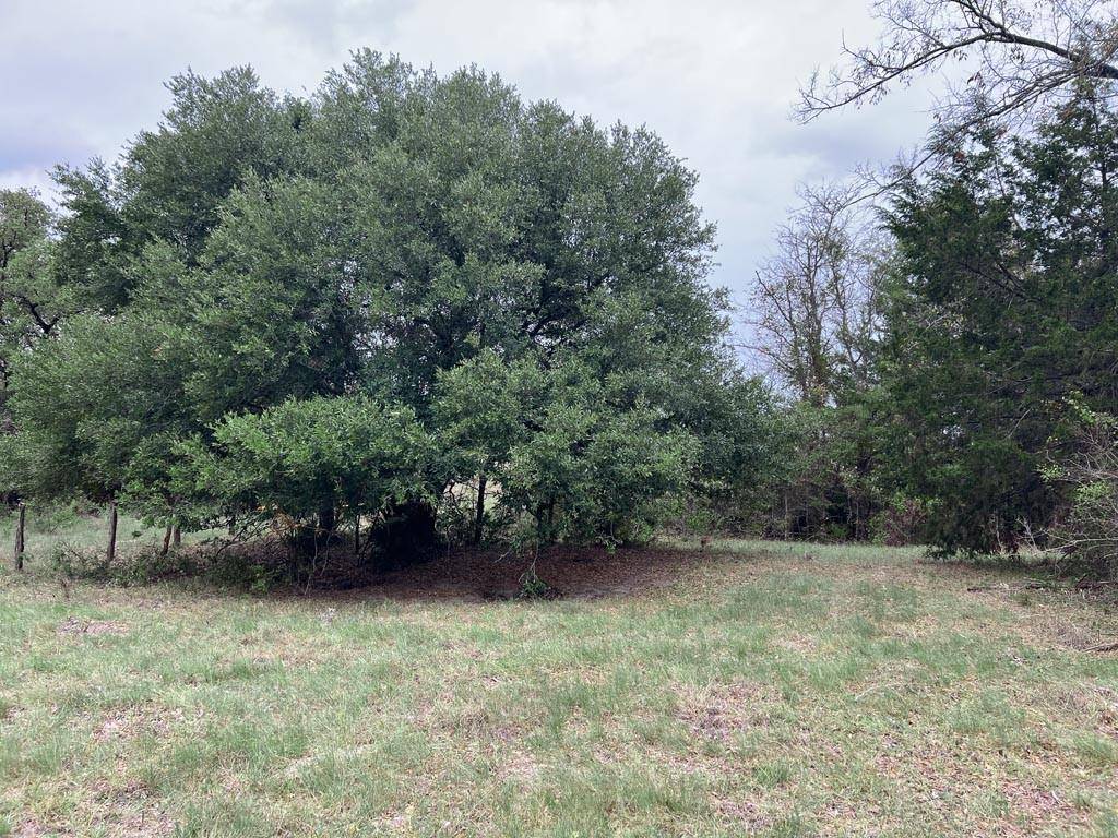 Richards, TX 77873,Tract #1 Fm 2562 RD