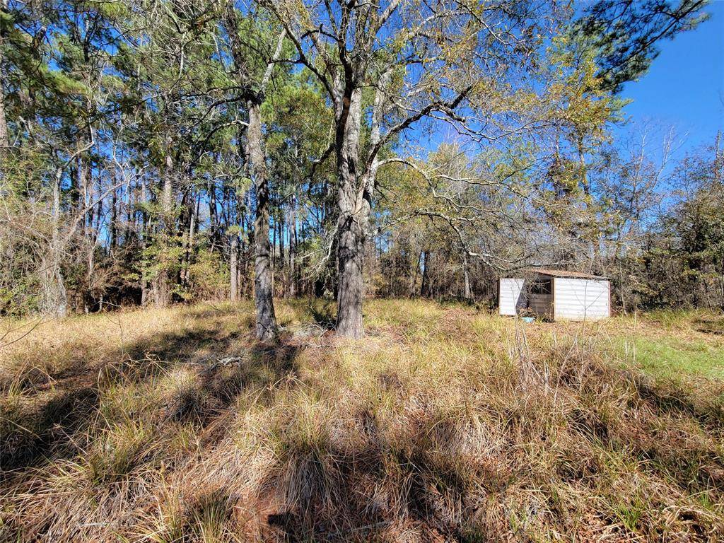 Cleveland, TX 77328,TBD County Road 3755