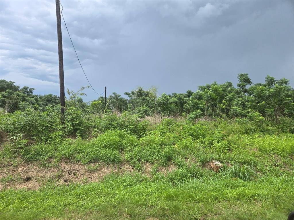 Fulshear, TX 77441,0017 Gordon Side RD