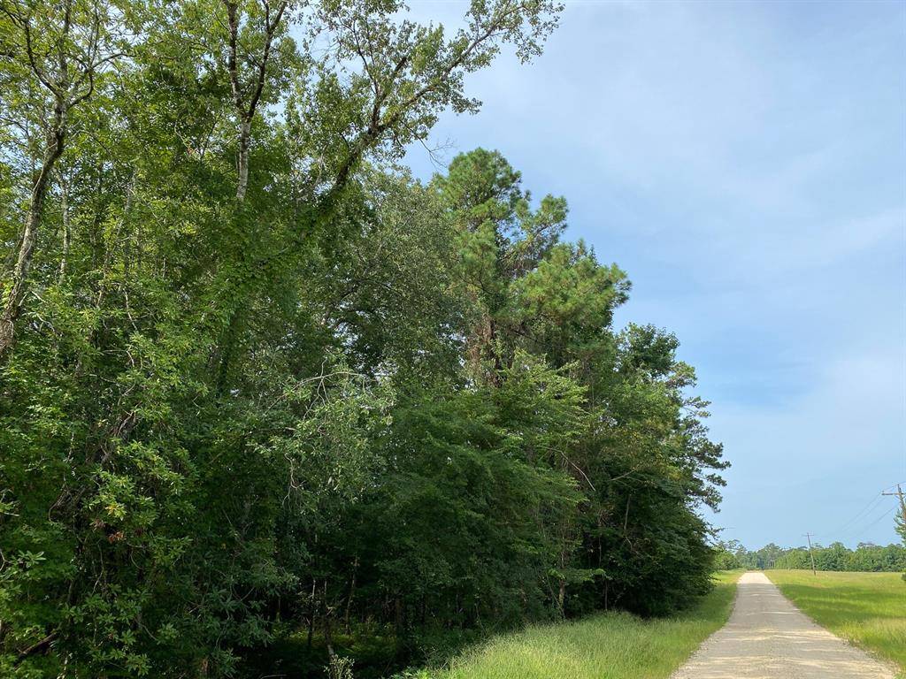 Livingston, TX 77351,0000 Nursery Rd