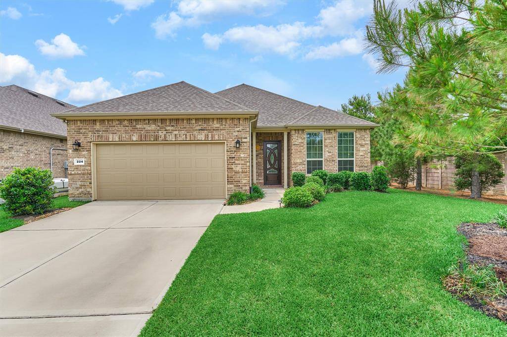 Spring, TX 77382,224 Spotted Saddle CT