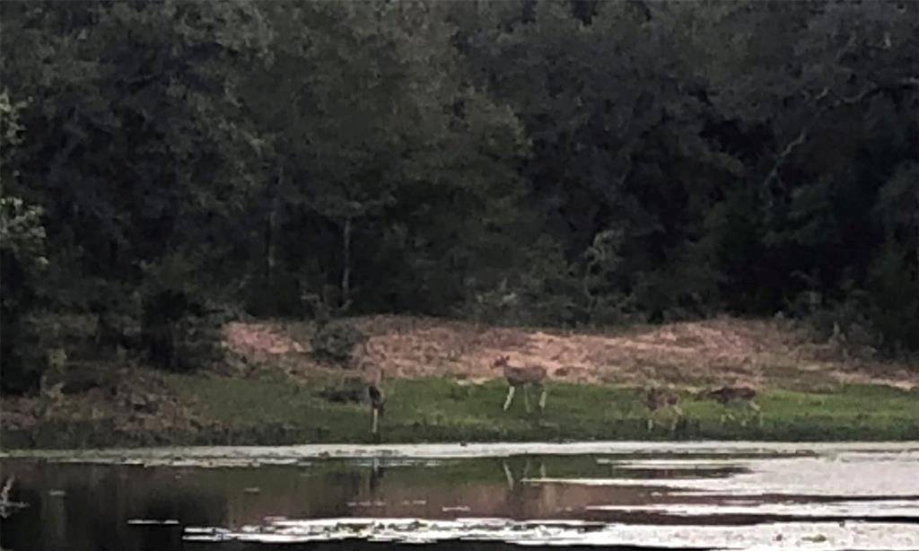 Garwood, TX 77442,TBD5 County Rd 19