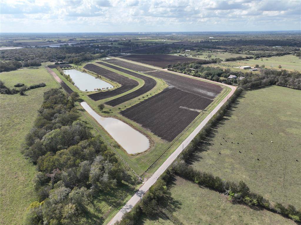 Sealy, TX 77474,000 Bartlett Trct 14 RD