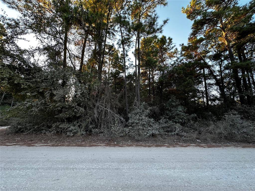 Plantersville, TX 77363,Lot 2 Live Oak- DR