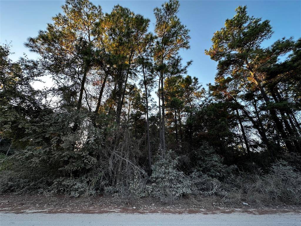 Plantersville, TX 77363,Lot 2 Live Oak- DR