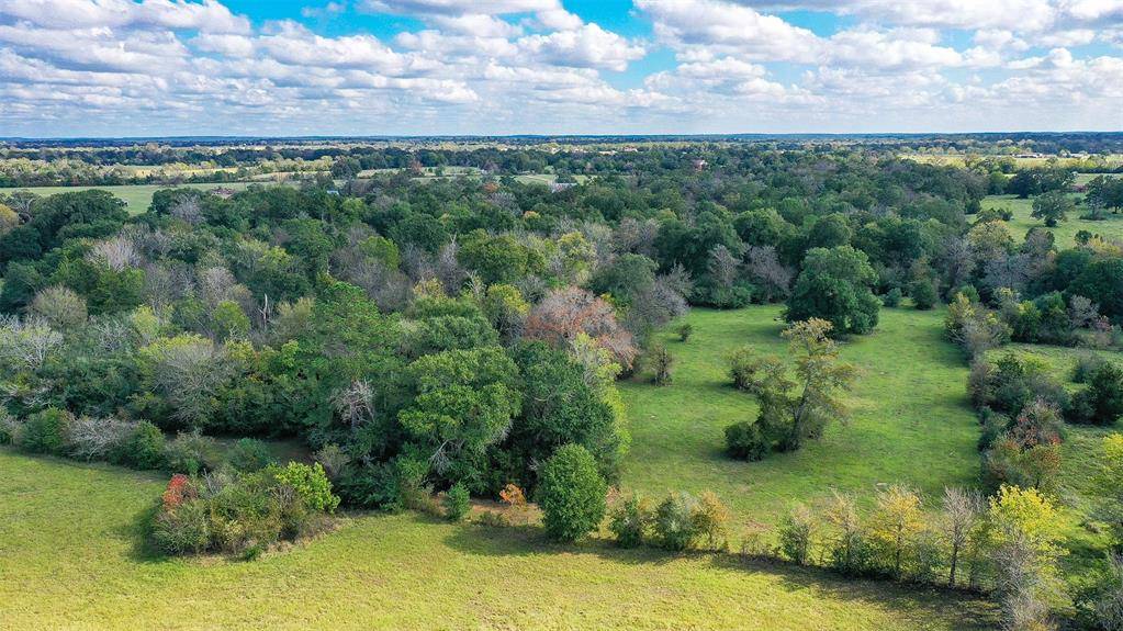 Bedias, TX 77831,28+/- Acres County Rd 140