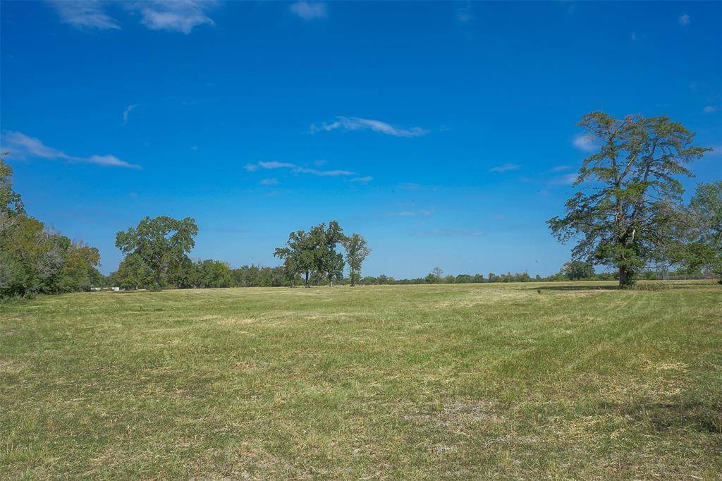 Bedias, TX 77831,28+/- Acres County Rd 140