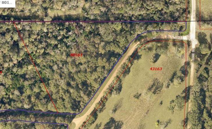 Shepherd, TX 77371,TBA Winding Creek Rd