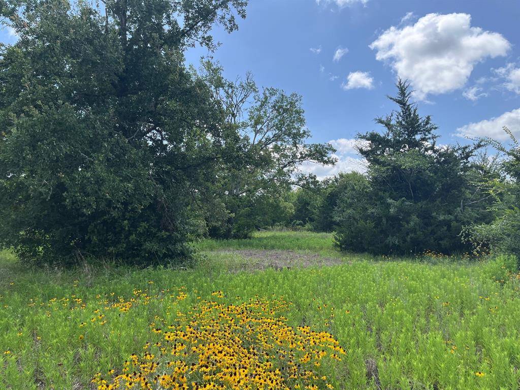 Huntsville, TX 77320,0 Fm-2550