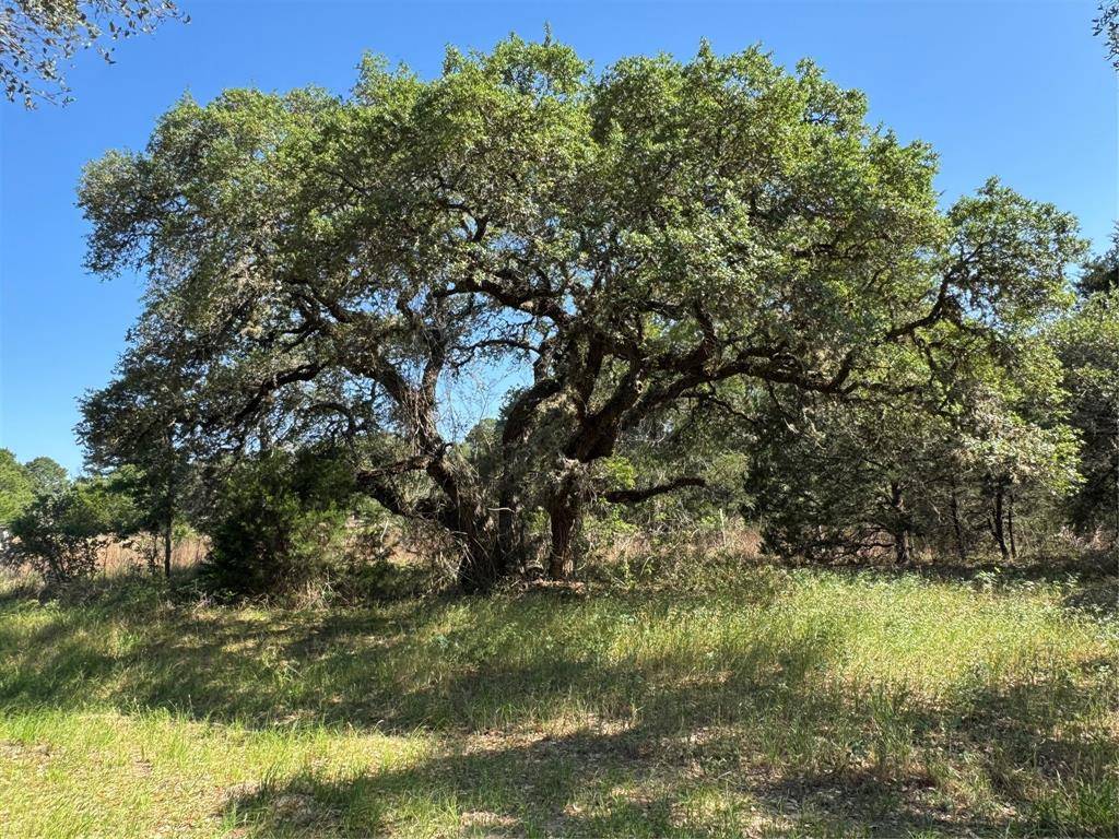 Hallettsville, TX 77964,2183 Farm to Market 3283