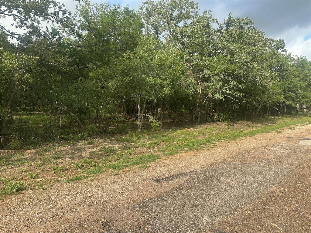 Somerville, TX 77879,790 Blueberry RD