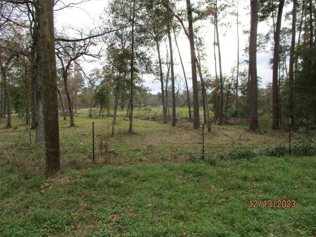 Magnolia, TX 77355,TBD Gaffe RD