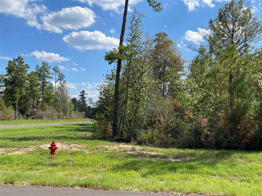 New Waverly, TX 77358,300 Iron Horse RD