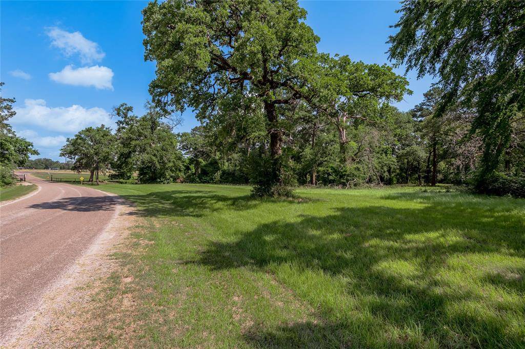 Trinity, TX 75862,Lot 3 Tara Drive