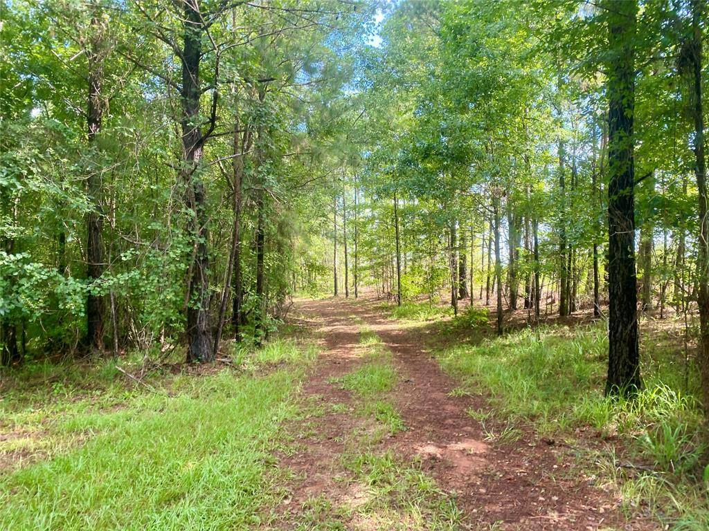 Other, GA 30668,1107 Pete Johnson RD