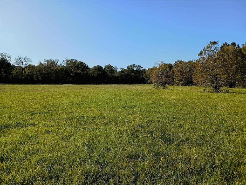 Colmesneil, TX 75938,TBD CR 2800