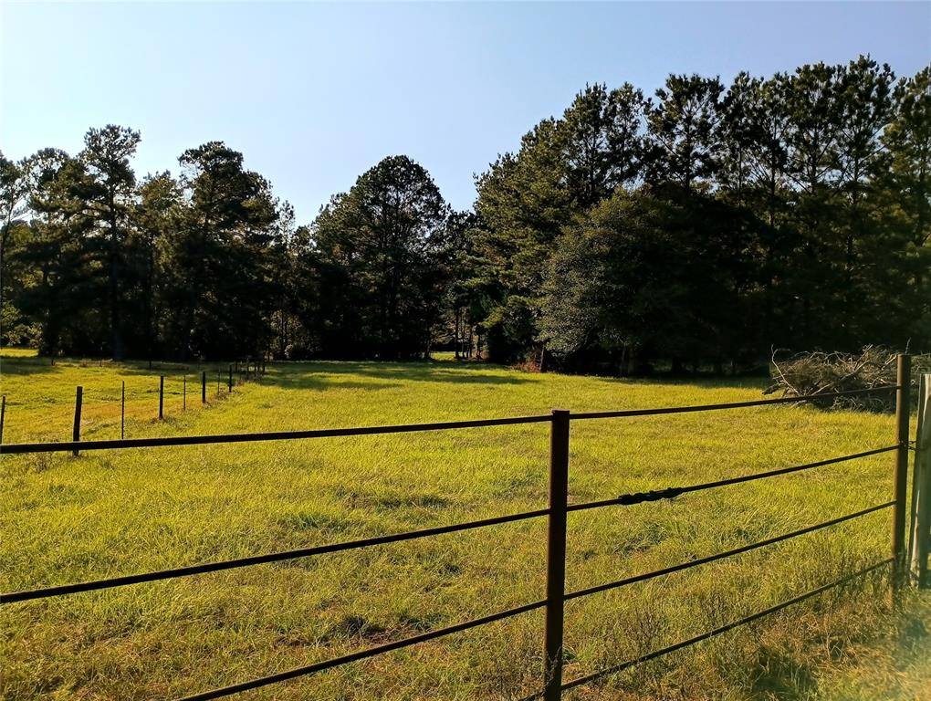 Colmesneil, TX 75938,TBD CR 2800