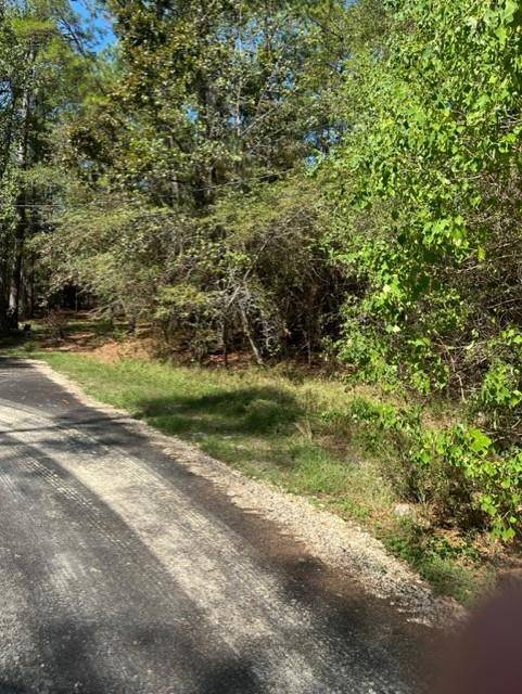 Onalaska, TX 77360,110 Pine Point CIR