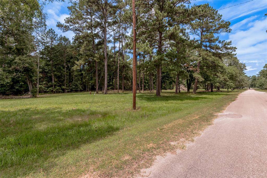 Trinity, TX 75862,398 Peach Point LN