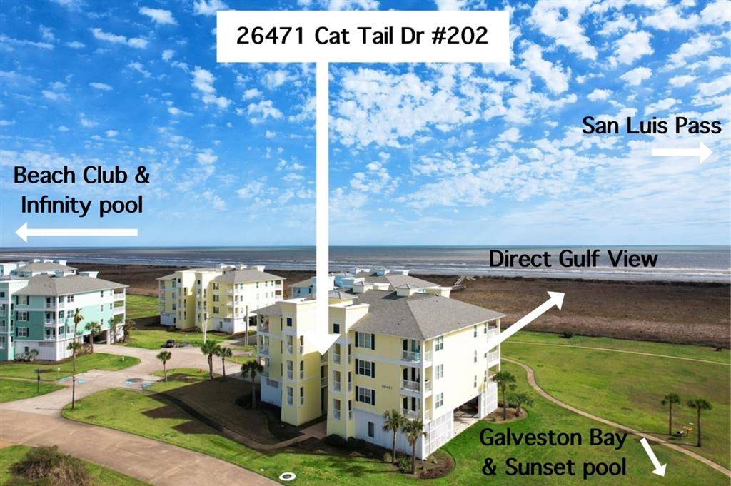 Galveston, TX 77554,26471 Cat Tail DR #202