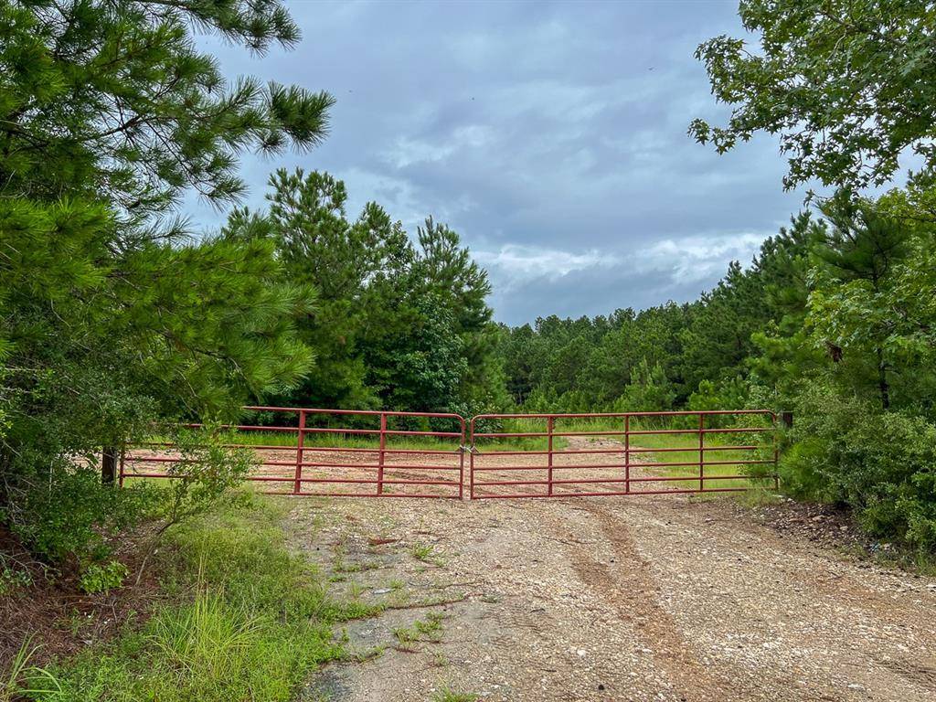 Groveton, TX 75845,T46 Easement Road off FM 355