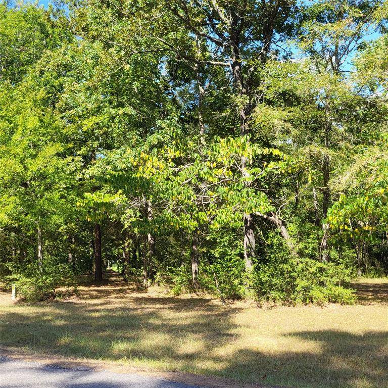 Livingston, TX 77351,lot 29 and 30 Island DR