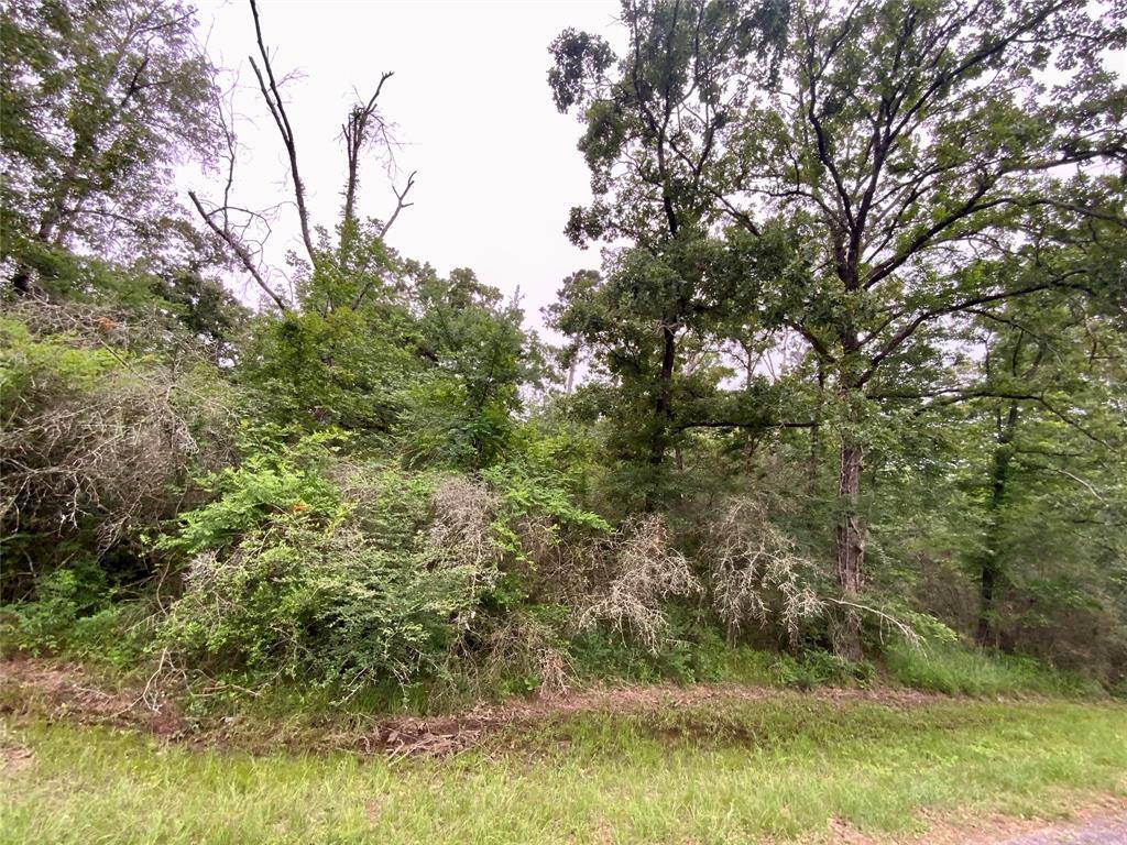 Onalaska, TX 77360,TBD Redbud Ridge